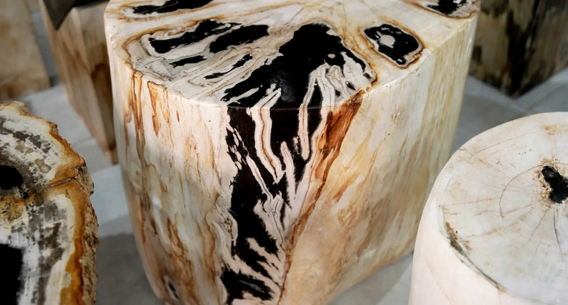 Close-up of Petrified Wood used in a Maison VM piece
